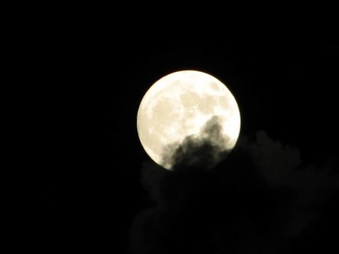 Full Moon夫人