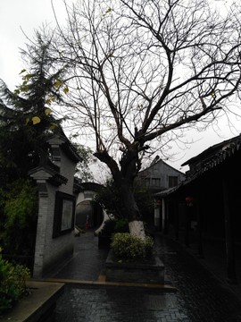 煙雨古鎮(zhèn)街巷