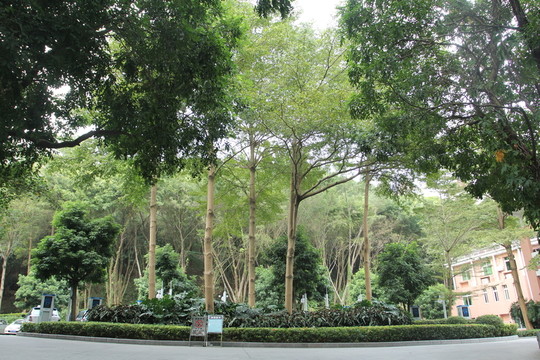 公園