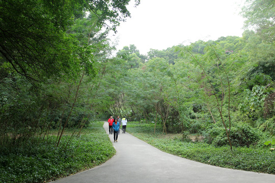 公園散步