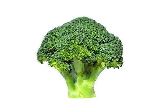 一棵西蘭花