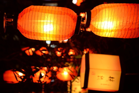 四川錦里中國風(fēng)夜景燈籠