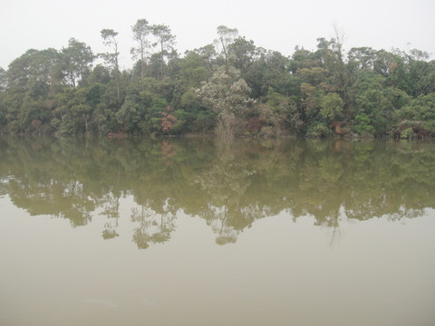青山綠水