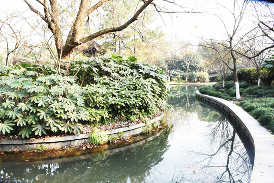 杭州西湖