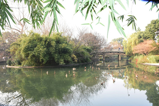 杭州西湖