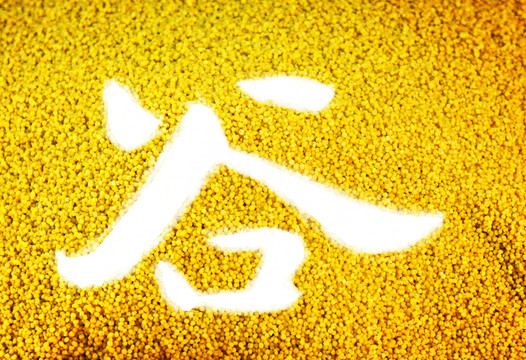 五谷 小米