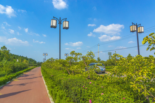 自行車專用路綠化帶