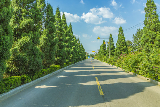 公路