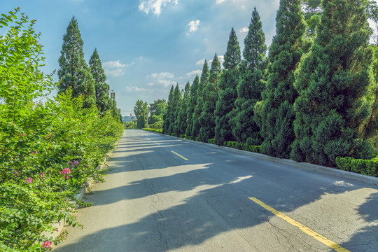 公路