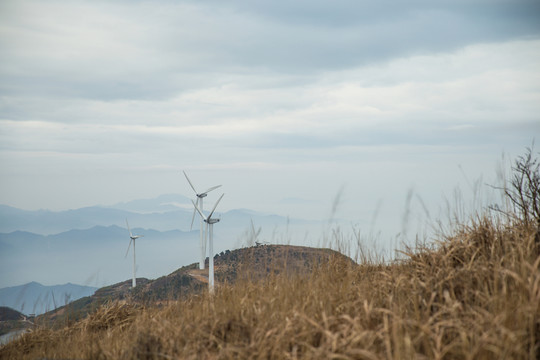 東陽東白山