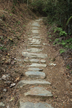 山間小路