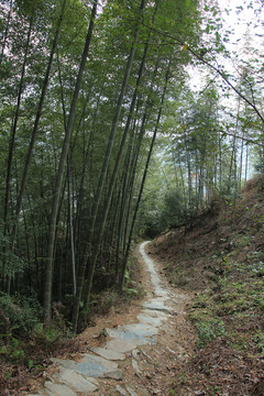 山路