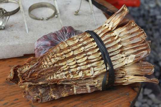 山筍子