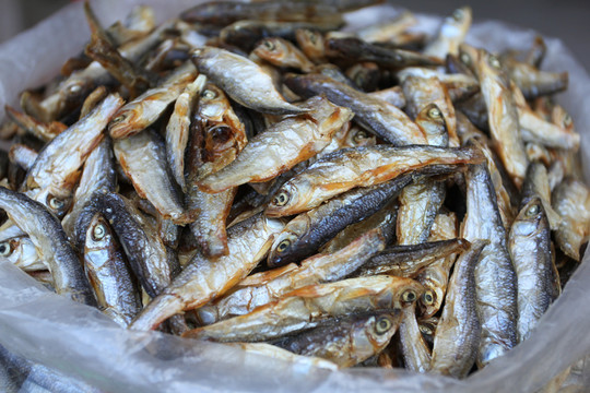 干魚