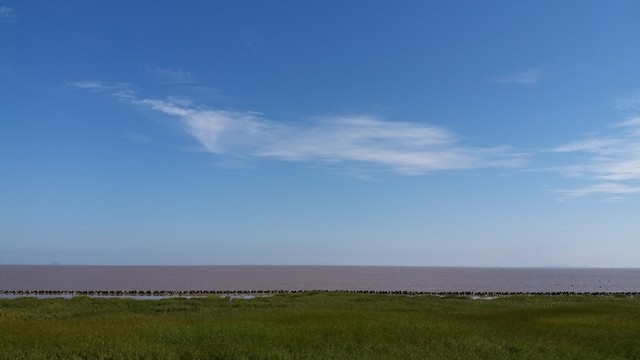 東海