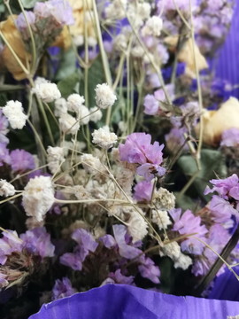 花 花卉 鮮花 植物 紫色花