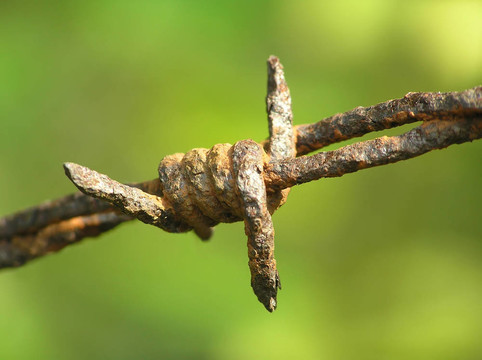 生銹的鐵絲網(wǎng)