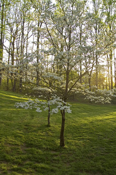 jw_009_045_05