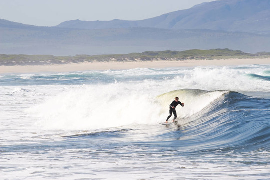 Surfer 5