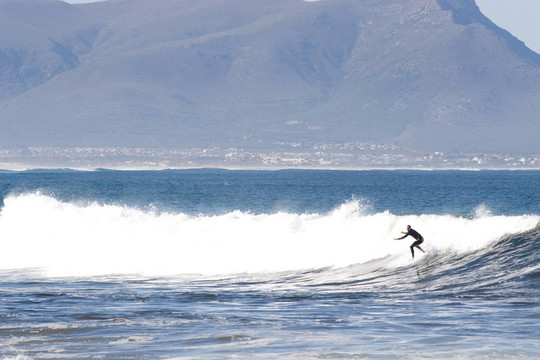Surfer 7