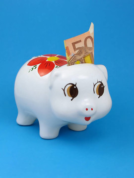 帶歐元紙幣的小豬儲(chǔ)蓄罐