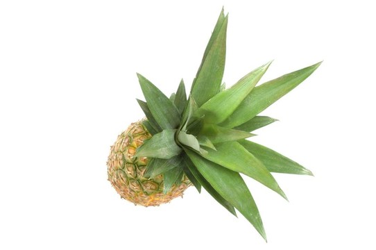 菠蘿