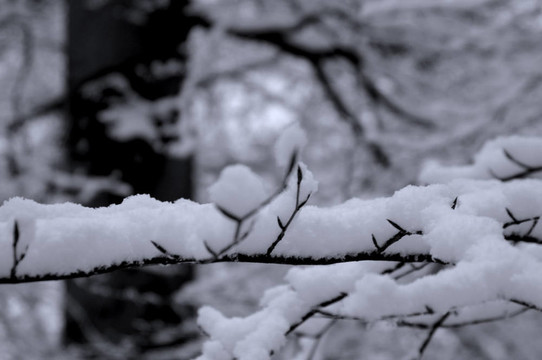 雪落。