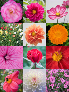 花