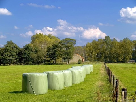Hay stacks。