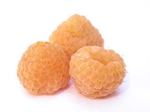 覆盆子