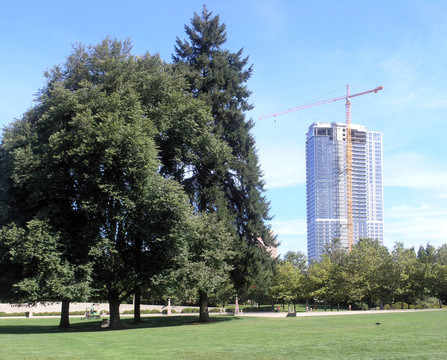 市中心的公園