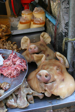pigheads
