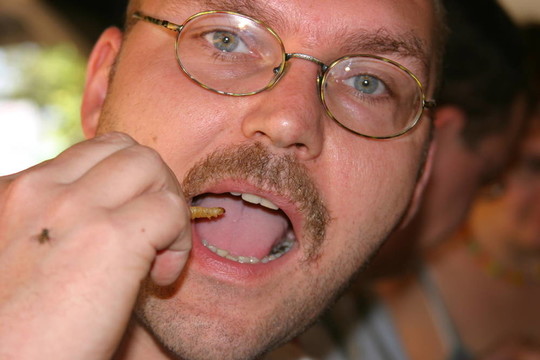 吃一個(gè)竹蟲