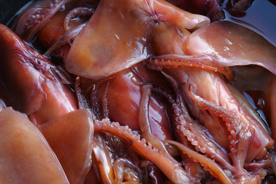 魷魚(yú)出售