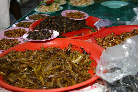 油炸昆蟲