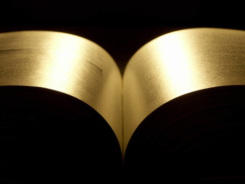 金書