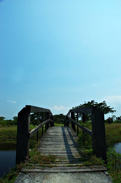 木橋