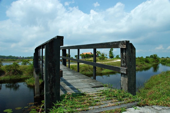 木橋