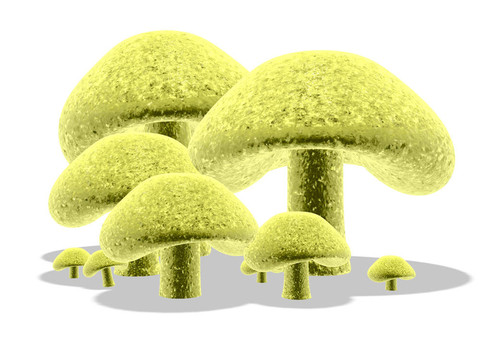 3d蘑菇4