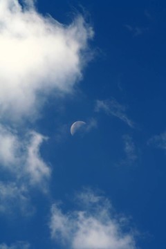 云與Moon