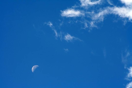云與Moon