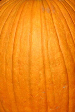 接近Pumpkin