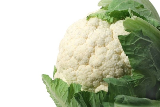 菜花