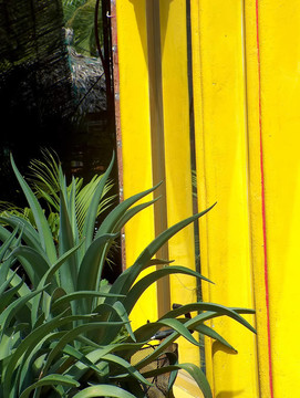 yellow_house01