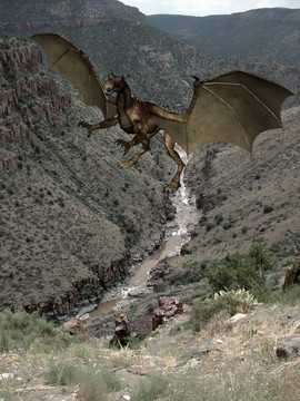 龍Canyon
