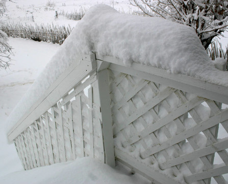 雪
