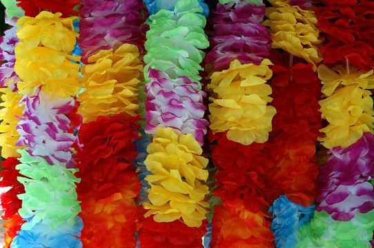 夏威夷花環(huán)