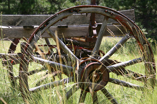 wagon2
