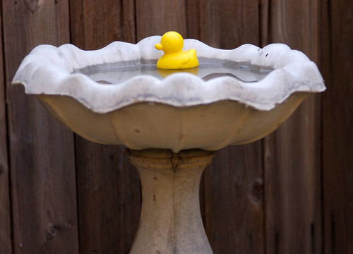 對(duì)象- Birdbath