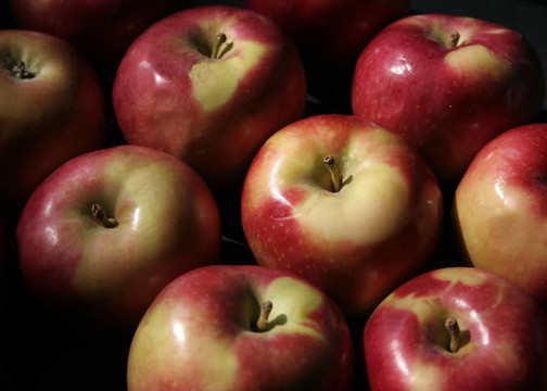 macinocsh1